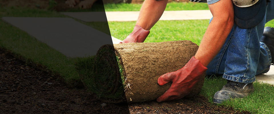 Ronceverte Landscapers